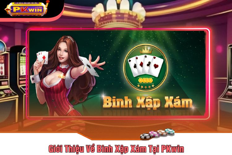 Giới Thiệu Về Binh Xập Xám Tại PKwin