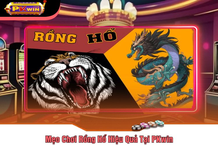 Mẹo Chơi Rồng Hổ Hiệu Quả Tại PKwin